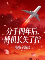 ��������󣬸�����ʧ�˿�