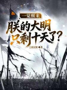 һ���������޵Ĵ���ֻʣʮ���ˣ�
